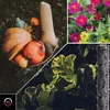 Tuyau d'arrosage 15m Drip Irrigation DRIP 1/2" CELLFAST Voir les images du produit 6