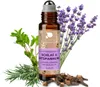 PHINTIN Roll-On Schlaf & Entspannung 10 ml | Duftroller mit Produktbild-Vorschau 1