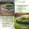 Floranica Bordo Giardino Flessibile  10 x 200 cm Verde Anteprima dell’immagine prodotto 4