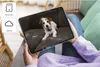 A person is holding a tablet displaying a dog on a couch. Icons for Micro SD and Cloud storage are visible on the left side of the image. Produktbild-Vorschau