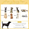 PawHut Hundebett, Erhöhtes Hundeliege mit Kissen, Produktbild-Vorschau 4