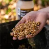 Nash Bait Tigernut Slush 0,5 l Produktbild-Vorschau 6