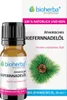 Bioherba Ätherisches reines Kiefernnadelöl 10 ml Produktbild-Vorschau 1