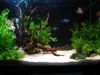Sable pour aquarium, sable de quartz blanc 0,5 mm, 8 kg Voir les images du produit 8
