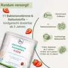 for you darmflora komplex kids Produktbild-Vorschau 4