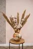 TS Collection - Tulpe Vase Baumwolle cream - 33x40 Produktbild-Vorschau 3