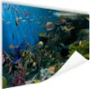 MuchoWow® Poster Lebendige Unterwasserwelt 120x80 cm - Produktbild-Vorschau 1