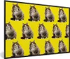 MuchoWow® MuchoWow® Gerahmtes Poster Katze - Muster - Gelb Produktbild-Vorschau 1