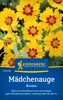Kiepenkerl Mädchenaugensamen Bicolor Coreopsis tinctoria Produktbild-Vorschau 5