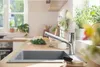 Mitigeur monocommande pour cuisine hansgrohe, douchette Voir les images du produit 2