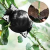 15 Stück Plant Rooting Box Propagation Ball, Grafting Box Náhled obrázku produktu 3