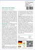 SAFLAX - Alter Mann der Anden - Oreocereus celsianus - 40 Produktbild-Vorschau 3