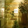 50LEDs 1 Meter Lichterschweif Lichterbündel Produktbild-Vorschau 4