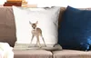 MuchoWow® Zierkissen Sofakissen Wohnzimmer Dekokissen 60x60 Produktbild-Vorschau 2