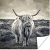 MuchoWow® Poster Schottischer Hochländer - Tiere - Wolken - Produktbild-Vorschau 1