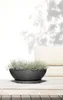 Pot de fleurs Ecopots Vienna 50 - L 50,4 cm x H 18,5 cm - Voir les images du produit 12