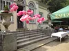 1000 weiße Polybänder für Helium-Ballons, knotenfrei, Produktbild-Vorschau 2