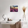 Poster - Poster ohne Rahmen - Lavendel Berge Feld - 50x40 Produktbild-Vorschau 5
