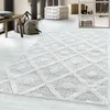 Hochflor Teppich Pepe rechteckig, Farbe: Grau, Produktbild-Vorschau 2