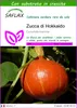 SAFLAX  - Zucca di Hokkaido - 10 semi - Con substrato - Anteprima dell’immagine prodotto 1