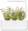 EMSA Click&Grow Substratkapseln 3-er Set, Sorte:Thymian Produktbild-Vorschau 13