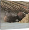 Leinwandbild zwei braune samen 40x40 cm Feeby braun Produktbild-Vorschau 1