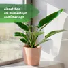 Siena Terrakotta Keramik Übertopf Blumentopf rund Produktbild-Vorschau 3