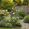 Jardin Terrasse Pergola pour rosiers - Idéal acier noir Voir les images du produit 16
