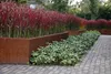 A garden path with planters filled with red ornamental grass and green ground cover. Produktbild-Vorschau