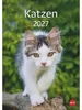 Katzen Kalender 2027 Produktbild-Vorschau 1