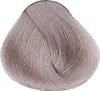 Alfaparf Milano Evolution Of The Color Platinum 11.21 Náhled obrázku produktu 10