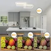 ZMH LED stropní světlo bílé obývací pokoj stmívatelné s Náhled obrázku produktu 3