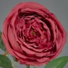 artplants.de Kunst Rose THYRI, rot, 65cm - Textil Rose Produktbild-Vorschau 2