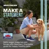 Skechers Slip-Ins: BOBS Sport Squad Chaos - Current Muse Anteprima dell’immagine prodotto 10