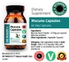 DR WAKDE'S Mucuna Kapseln (Kapikacchu | Juckbohne) | 60 Produktbild-Vorschau 5