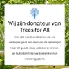 Triumph Tree Bristlecone Kunstkerstboom - Kerstversiering Productafbeelding-voorbeeld 9