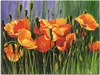 ARTland Leinwandbild Mohnblumen I Größe: 40x30 cm Produktbild-Vorschau 1