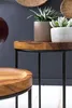 Two wooden side tables with black metal legs, one smaller and in the foreground, the other larger and behind it, holding two potted succulents. Náhled obrázku produktu