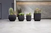 Four potted plants, including cacti and succulents, are displayed on a marble countertop in a modern kitchen setting. Voir les images du produit