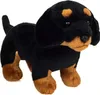 Teddy-Hermann jazvečík stojaci 3-farebný rôznofarebný 21 cm Náhľad obrázku produktu 3