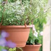 Prosperplast J.A.D. 12032 Květináč AGRO 16 cm, cihlový Náhled obrázku produktu 6