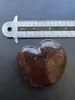 Meeresherz (Entada gigas)  - 1 Samen Produktbild-Vorschau 5