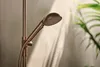 Hansa 4717012081 Handbrausegarnitur HANSAAURELIA 4717 Produktbild-Vorschau 5