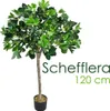 Schefflera Plante Arbre Artificielle Artificiel Plastique Voir les images du produit 1
