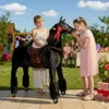 Cavallo meccanico Ponnie Ebony XL PROFI Anteprima dell’immagine prodotto 17