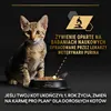 Purina Pro Plan Kitten Healthy Start 24x85g Produktbild-Vorschau 6