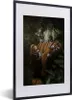 MuchoWow® MuchoWow® Gerahmtes Poster Tiger - Dschungel - Produktbild-Vorschau 1