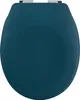 A top-down view of a teal toilet seat. Produktbild-Vorschau