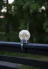 A solar-powered light globe attached to a dark railing, with trees in the background. Produktbild-Vorschau