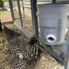 Podávač krmiva pre hydinu Náhľad obrázku produktu 4